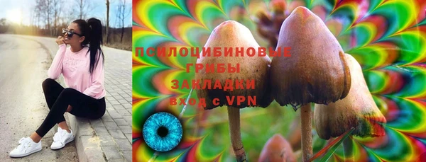 синтетический гашиш Алексин