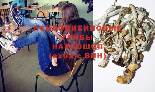 MESCALINE Алзамай
