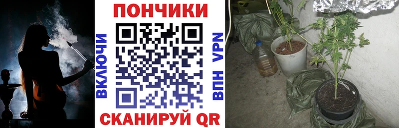 Купить  Владикавказ  МАРИХУАНА сатива 